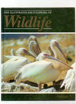 The Illustrated Encyclopedia Of Wildlife Volume 17 Birds - £3.06 GBP