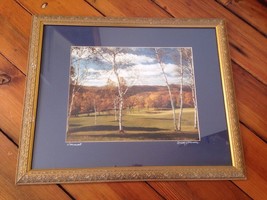 Vermont Autumn Fall Foliage Birch Tree Mountains Gilt Framed Matted Phot... - £100.66 GBP