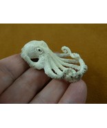 octo-w46 small Octopus of shed ANTLER figurine Bali detailed I love octopi - $100.03