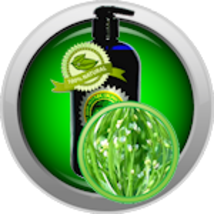 Crambe abyssinica oil thumb200