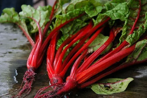 Fresh Seeds Swiss Chard Ruby Red Vegetable 1 Oz Seeds - $19.90