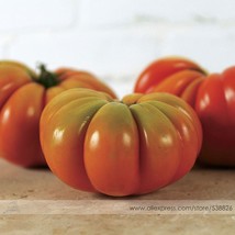 USA SELLER New Genuwine Tomato Seeds Pack 100 Seeds / Pack Aroma Of Tomatoes #Nf - £12.07 GBP