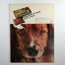Vtg Top Choice Dog Food Avco Aluminum Print Ad 10.25x13.75 - £5.65 GBP