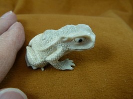 FROG-W31) little Frog shed ANTLER figurine Bali detailed amphibian love ... - £58.81 GBP