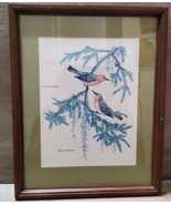 Anne Worsham Richardson Print Prothonotary Warbler Framed Matted 60-70s ... - £36.45 GBP