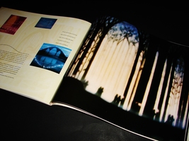 Item image 14