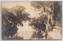 RPPC Boathouse And Lake Seen Through The Spanish Moss Trees Photo Postcard Y24 - £5.45 GBP