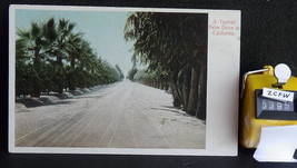 STD Vintage A Typical Palm Drive in California Unposted c1900s - £1.56 GBP