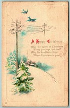 Birds Flying Over Power Lines Winter Scene A Happy Christmas DB Postcard I7 - $4.90