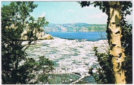 Postcard Reversing Falls &amp; Rapids At Low Water Saint John New Brunswick - £2.17 GBP