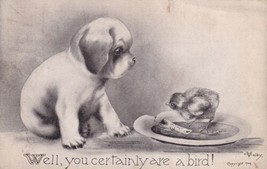 Dog Young Puppy Well You Certainly Are A Bird Signed Colby 1909 Postcard... - $2.99