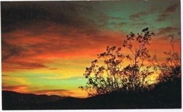California Postcard Spectacular Sunrises &amp; Creosote Bushes - £1.70 GBP