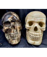 Stone Look and Bone Look Skull Sculpture Life Sized Realistic! (Lot of 2) - $722.26 MXN