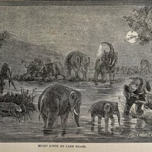 Elephants On Lake Ngami At Night Wood Engraving 1887 Victorian Art DWEE19 - £39.08 GBP