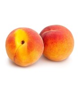1 Redhaven Grafted Peach Tree self pollinating - £27.52 GBP