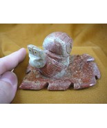 (y-SNAI-402) gray racer Snail on red leaf GEM STONE carving SOAPSTONE Peru - $28.85 CAD