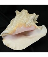 Authentic Pink Queen Seashell Beach Wedding Hawaii Tiki - $665.93 MXN