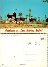 Florida West Palm Beach Lion Country Safari Ostriches In Groups VTG Postcard - £7.51 GBP