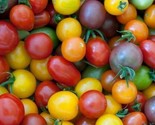 Rainbow Cherry Tomato Seeds Mix 50 Garden Vegetables Sauce Salad Fast Sh... - $8.99