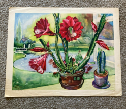 Cactus In Bloom Art Print By Artist Jos Ruting - £39.31 GBP