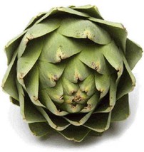VP Green Globe Artichoke Cynara Scolymus Vegetable 75 Seeds - £3.74 GBP