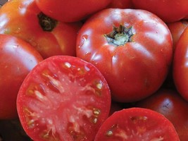 Fresh Ukrainian Variety Cosmonaut Volkov Tomato 20 Seeds US Seller - £26.89 GBP