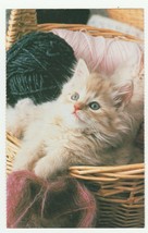 Vintage Postcard Kitten in Basket of Yarn Unused Cat Card - £5.44 GBP