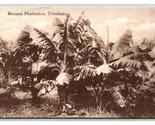 Banana Plantation Trinidad BWI UNP Davidson &amp; Todd DB Postcard P18 - $8.86