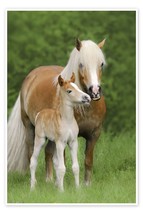 Schleich Toy Haflinger Mare &amp; Foal - $10.89