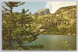 Bear Lake Rocky Mountain National Park Colorado Landscape Vintage Postcard - $14.45