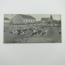 Postcard Hershey Chocolate Co Herd of Cows Hershey Pennsylvania Antique 1910s - £15.65 GBP