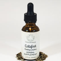 COLTSFOOT Herbal Supplement / Liquid Extract Tincture / Tussilago farfara Herb - $14.95