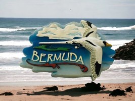 Bermuda Island Seagull Vintage Fridge Magnet Resin Travel Souvenir - $9.38