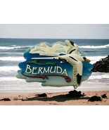 Bermuda Island Seagull Vintage Fridge Magnet Resin Travel Souvenir - $174.21 MXN
