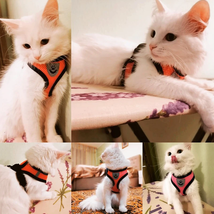 Cat Harness Vest Walking Lead Leash For Puppy Dogs Collar Polyester Adju... - £9.78 GBP