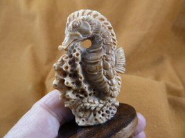 (tb-seah-2) little tan Seahorse Tagua NUT palm figurine Bali carving sea... - $43.47