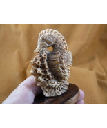 (tb-seah-2) little tan Seahorse Tagua NUT palm figurine Bali carving sea... - £34.19 GBP