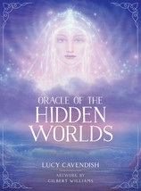 Oracle Of The Hidden Worlds 44 Cards &amp; Guidebook Blue Angel - £19.46 GBP