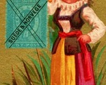 Victorian Trade Card Geo. B. Bains &amp; Sons Leather Good Philadelphia M11 - $24.70