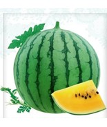 FMG 25 Watermelon Yellow Seeds Sweet Tropical Melon Exotic Garden Fruit ... - $19.72 CAD