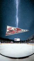 Vintage NHL 1998 Detroit Red Wings Stanley Cup Champions NHL Hockey Felt Pennant - £7.79 GBP
