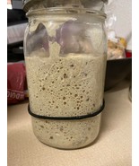 San Francisco  SOURDOUGH STARTER culture from our archieves s.f. BONANZA - £6.29 GBP