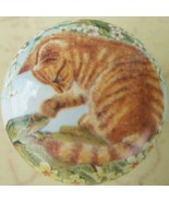 Cabinet Knobs w/ Kitten Orange Tabby &amp; Frog - $5.30