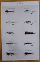 NYMPH LURES #10 - COLOR ILLUSTRATION PLATE PAGE, CABIN FISHING RUSTIC DECOR - $3.31