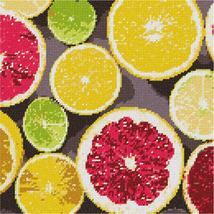 Pepita Needlepoint Canvas: Citrus Slices, 10&quot; x 10&quot; - £62.34 GBP+