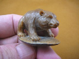 (tb-bear-8) little brown Grizzly Bear Tagua NUT palm figurine Bali carving bears - £38.89 GBP