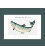 French Fish Market Wall Art Poster Print - 24 x 16 in - £28.54 GBP
