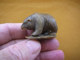 (tb-bear-6) little brown Grizzly Bear Tagua NUT palm figurine Bali carving bears - £39.18 GBP