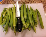 50 Emerald Okra Seeds  - $4.60