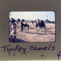 35mm Slide Camels In Turkey 1973 Tourist Photo - $180.80 MXN